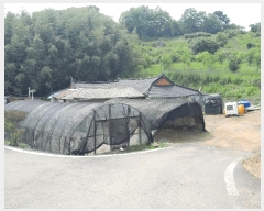  2025Ÿ��51343 �泲 ������ ��ȣ���� ���ݸ� 447      ����(��1)���