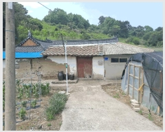  2025Ÿ��51343 �泲 ������ ��ȣ���� ���ݸ� 447      ����(��1)���