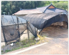  2025Ÿ��51343 �泲 ������ ��ȣ���� ���ݸ� 447      ����(��1)���