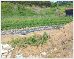  2025Ÿ��51343 �泲 ������ ��ȣ���� ���ݸ� 447      ����(��1)���