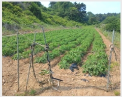  2025Ÿ��51343 �泲 ������ ��ȣ���� ���ݸ� 447      ����(��1)���