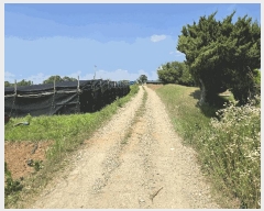  2025Ÿ��51401  �����