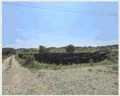  2025Ÿ��51401  �����