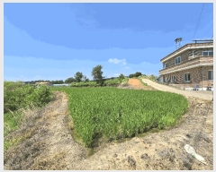  2025Ÿ��51401  �����