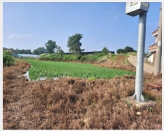  2025Ÿ��51401  �����