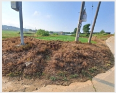  2025Ÿ��51401  �����