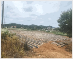  2025Ÿ��51418 �泲 ������ ������ ����� ��235-19      ����(�Ӿ�)���