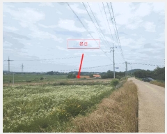  2025Ÿ��51418 �泲 ������ ������ ����� ��235-19      ����(�Ӿ�)���