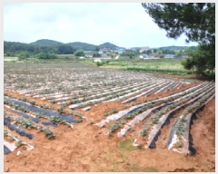  2025Ÿ��51418 �泲 ������ ������ ����� ��235-19      ����(�Ӿ�)���