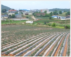  2025Ÿ��51418 �泲 ������ ������ ����� ��235-19      ����(�Ӿ�)���