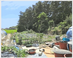  2025Ÿ��51506 �泲 �¾ȱ� ������ ������ 645      ����(�Ӿ�)���