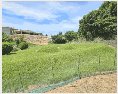  2025Ÿ��51506 �泲 �¾ȱ� ������ ������ 645      ����(�Ӿ�)���