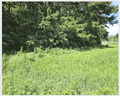  2025Ÿ��51506 �泲 �¾ȱ� ������ ������ 645      ����(�Ӿ�)���