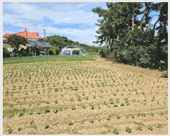  2025Ÿ��51506 �泲 �¾ȱ� ������ ������ 645      ����(�Ӿ�)���