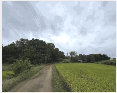  2025Ÿ��51771 �泲 ������ �ۻ�� ����� 110      ����(��)���