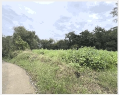  2025Ÿ��51771 �泲 ������ �ۻ�� ����� 110      ����(��)���