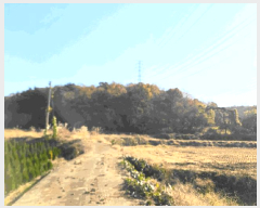  2025Ÿ��51904 �泲 ������ �۾��� ��� 6-2      ����(�Ӿ�)���