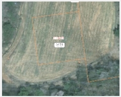  2025Ÿ��186 �泲 ������ �۾��� ���и� 210-6      ����(��1)���