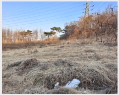  2025Ÿ��186 �泲 ������ �۾��� ���и� 210-6      ����(��1)���