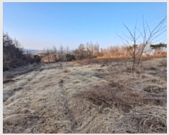  2025Ÿ��186 �泲 ������ �۾��� ���и� 210-6      ����(��1)���