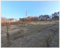  2025Ÿ��186 �泲 ������ �۾��� ���и� 210-6      ����(��1)���