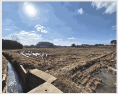  2025Ÿ512 泲  ۾ ΰ 205      ()