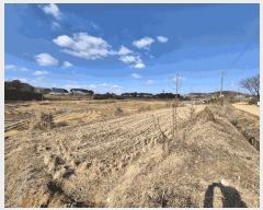  2025Ÿ512 泲  ۾ ΰ 205      ()