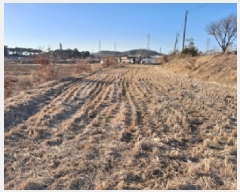  2025Ÿ512 泲  ۾ ΰ 205      ()