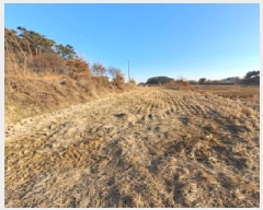  2025Ÿ512 泲  ۾ ΰ 205      ()