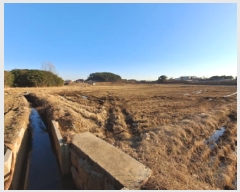  2025Ÿ512 泲  ۾ ΰ 205      ()