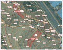  2025Ÿ512 泲  ۾ ΰ 205      ()