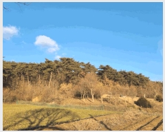  2025Ÿ��515 �泲 ����� ���ϸ� �λ긮 520      ����(��1)���