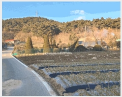  2025Ÿ��515 �泲 ����� ���ϸ� �λ긮 520      ����(��1)���