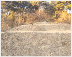  2025Ÿ��515 �泲 ����� ���ϸ� �λ긮 520      ����(��1)���