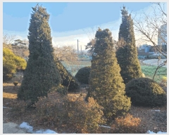  2025Ÿ��515 �泲 ����� ���ϸ� �λ긮 520      ����(��1)���