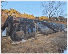  2025Ÿ��515 �泲 ����� ���ϸ� �λ긮 520      ����(��1)���