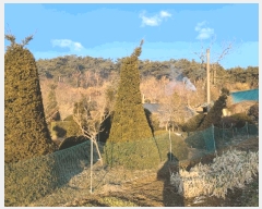  2025Ÿ��515 �泲 ����� ���ϸ� �λ긮 520      ����(��1)���