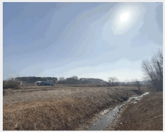  2025Ÿ��535  ����