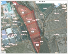  2025Ÿ��535  ����