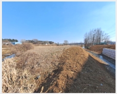  2025Ÿ��535  ����