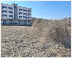  2025Ÿ��535  ����