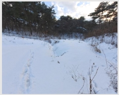  2025Ÿ��50693 �泲 ������ ������ ���긮 723      ����(��1)���