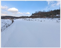  2025Ÿ��50693 �泲 ������ ������ ���긮 723      ����(��1)���