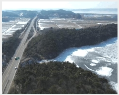  2025Ÿ��50822 �泲 ����� �μ��� ���渮 479-15      ����(�Ӿ�)���