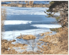  2025Ÿ��50822 �泲 ����� �μ��� ���渮 479-15      ����(�Ӿ�)���