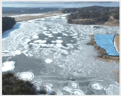  2025Ÿ��50822 �泲 ����� �μ��� ���渮 479-15      ����(�Ӿ�)���