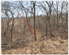  2025Ÿ��50958  �Ӿ߰��