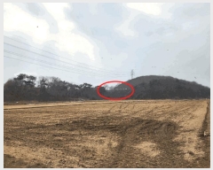  2025Ÿ��50958  �Ӿ߰��