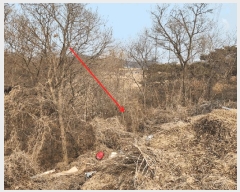  2025Ÿ��50958  �Ӿ߰��