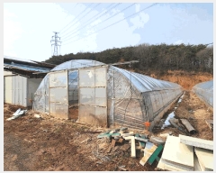  2025Ÿ��50958  �Ӿ߰��